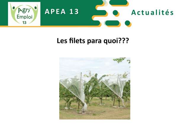 Photo de l'actualité Les filets paragrêle