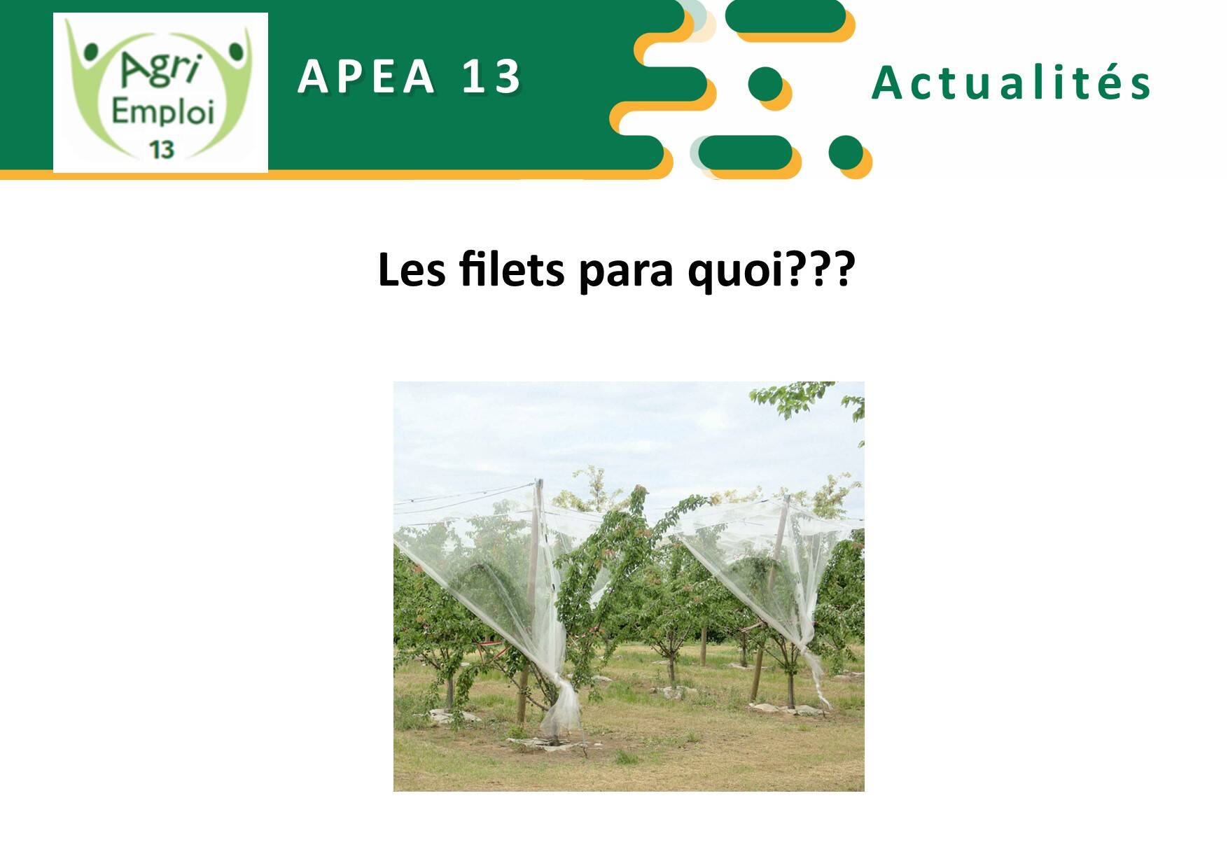 Actualit : Les filets paragrle