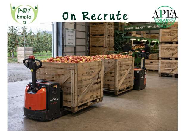 Photo de l'actualit� Pr�parateur de commandes