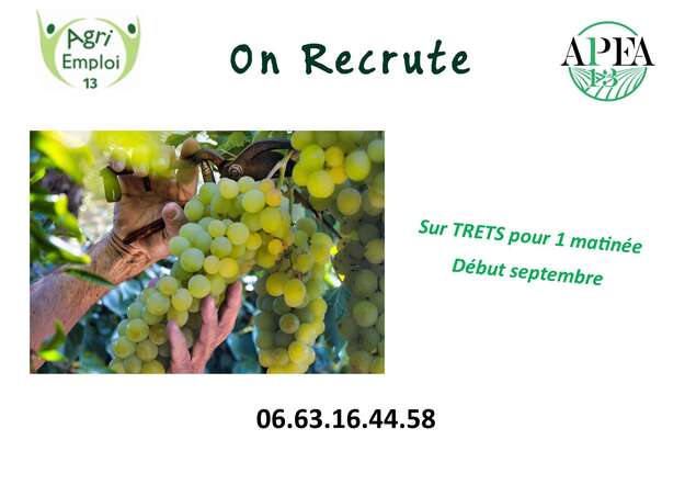 Photo de l'actualit� DEPANNAGE VENDANGES